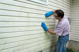 Best Insulated Siding Installation  in Monona, IA